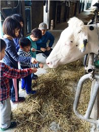 自分で作った飼料をできるだけ多く与えている