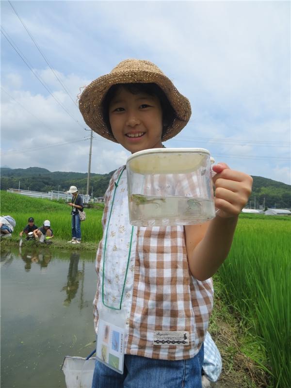 カエルつかまえたよ！