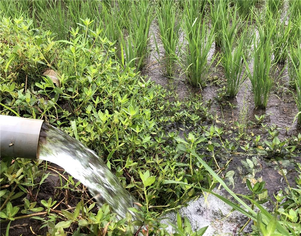 水不足のため清冽な地下水を給水