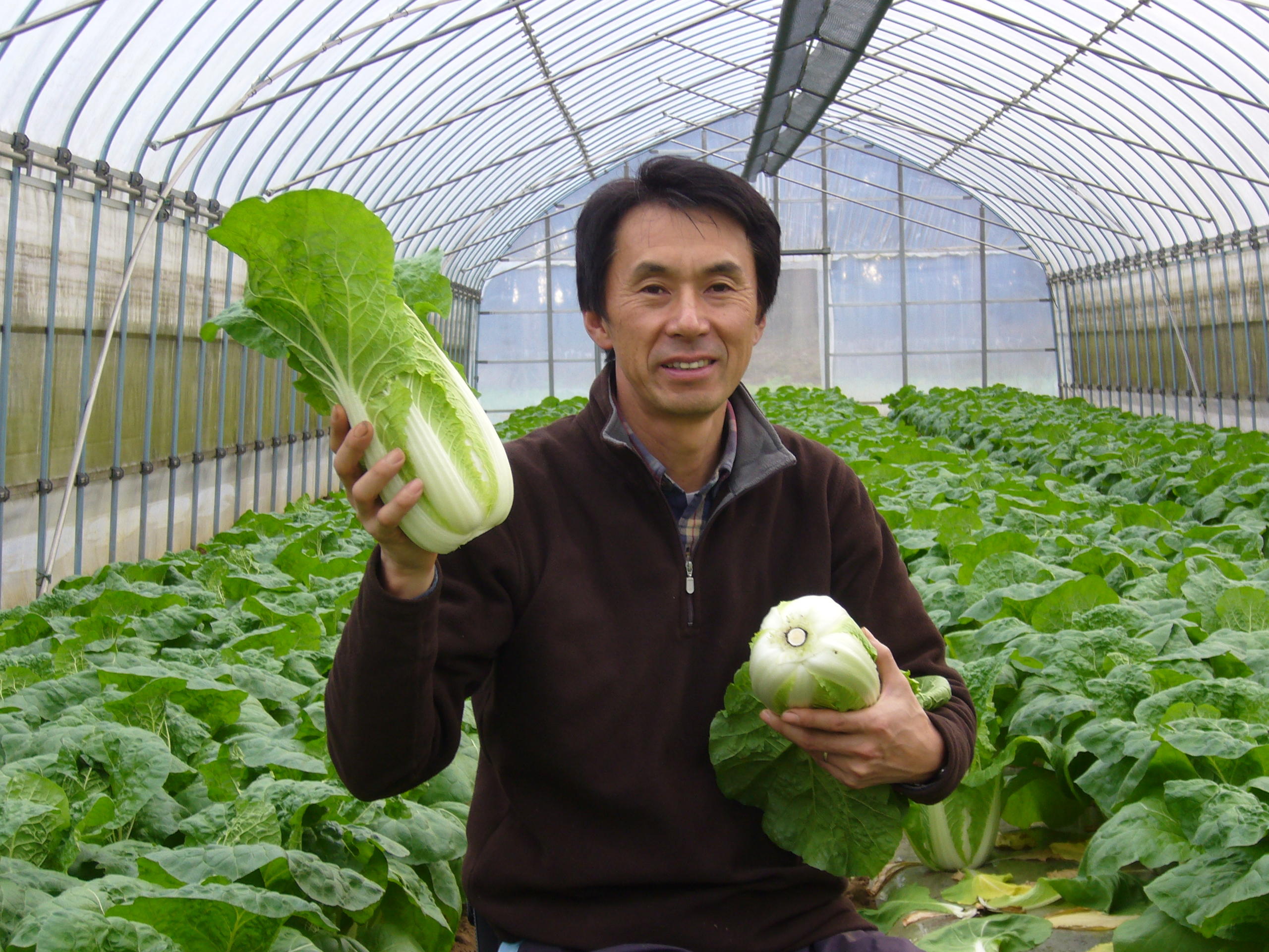 (農)さんぶ野菜ネットワーク代表理事　富谷 亜喜博（とみや あきひろ）さん