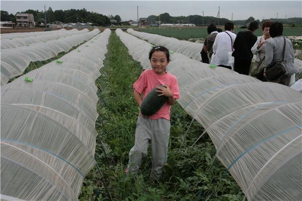 野菜･果物の収穫を体験