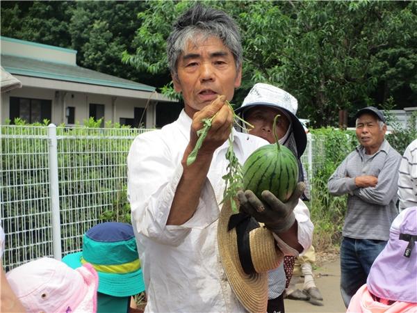 (農)茨城県西産直センター･すいか生産者の安達一夫さん