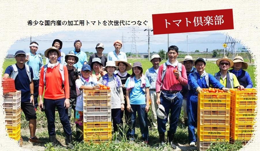 東都生協組合員による収穫援農を例年夏期に実施