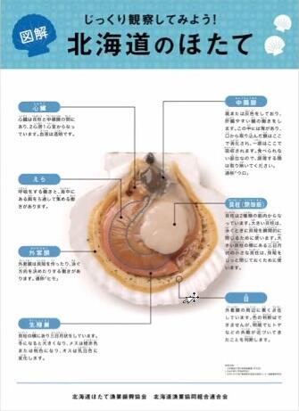 北海道漁業協同組合連合会の竹花さんからホタテと鮭についてクイズを交えながら学びました。