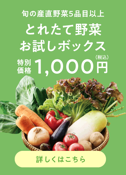 とれたて野菜お試しボックス 1000円（税込）