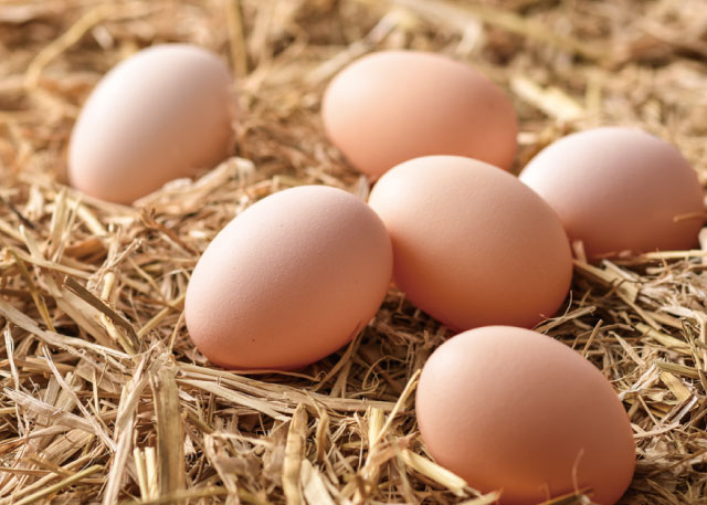 産直平飼いたまご