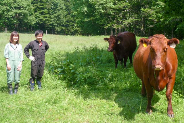 残留放射能検査