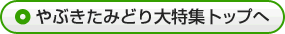 やぶきたみどり大特集トップへ