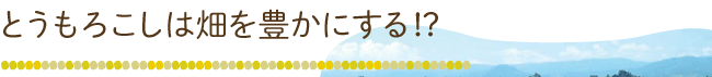 とうもろこしは畑を豊かにする！？