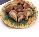 東都納豆