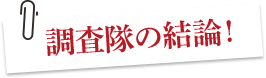 調査隊の結論