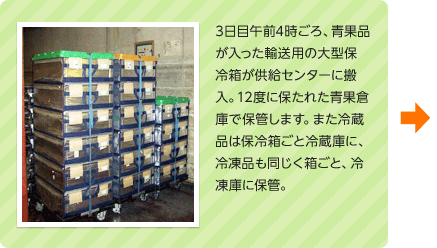 3日目午前4時ごろ、青果品が入った輸送用の大型保冷箱が供給センターに搬入。12度に保たれた青果倉庫で保管します。また冷蔵品は保冷箱ごと冷蔵庫に、冷凍品も同じく箱ごと、冷凍庫に保管。