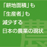 耕地面積も生産者も減少する日本の農業の現状