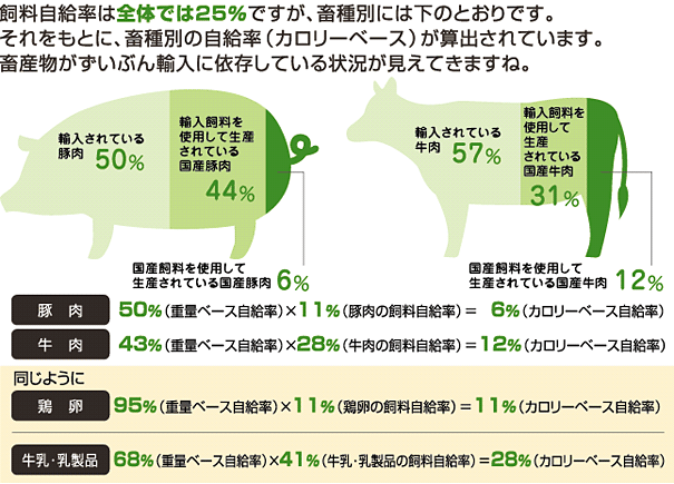 日本 牛肉 自給 率