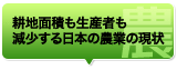 耕地面積も生産者も減少する日本の農業の現状