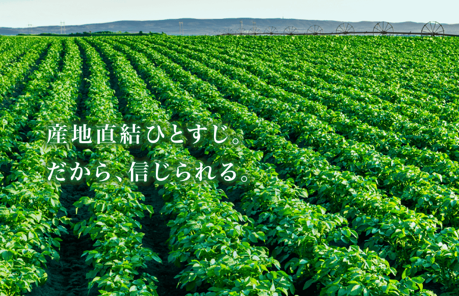 産地直結ひとすじ。だから、信じられる