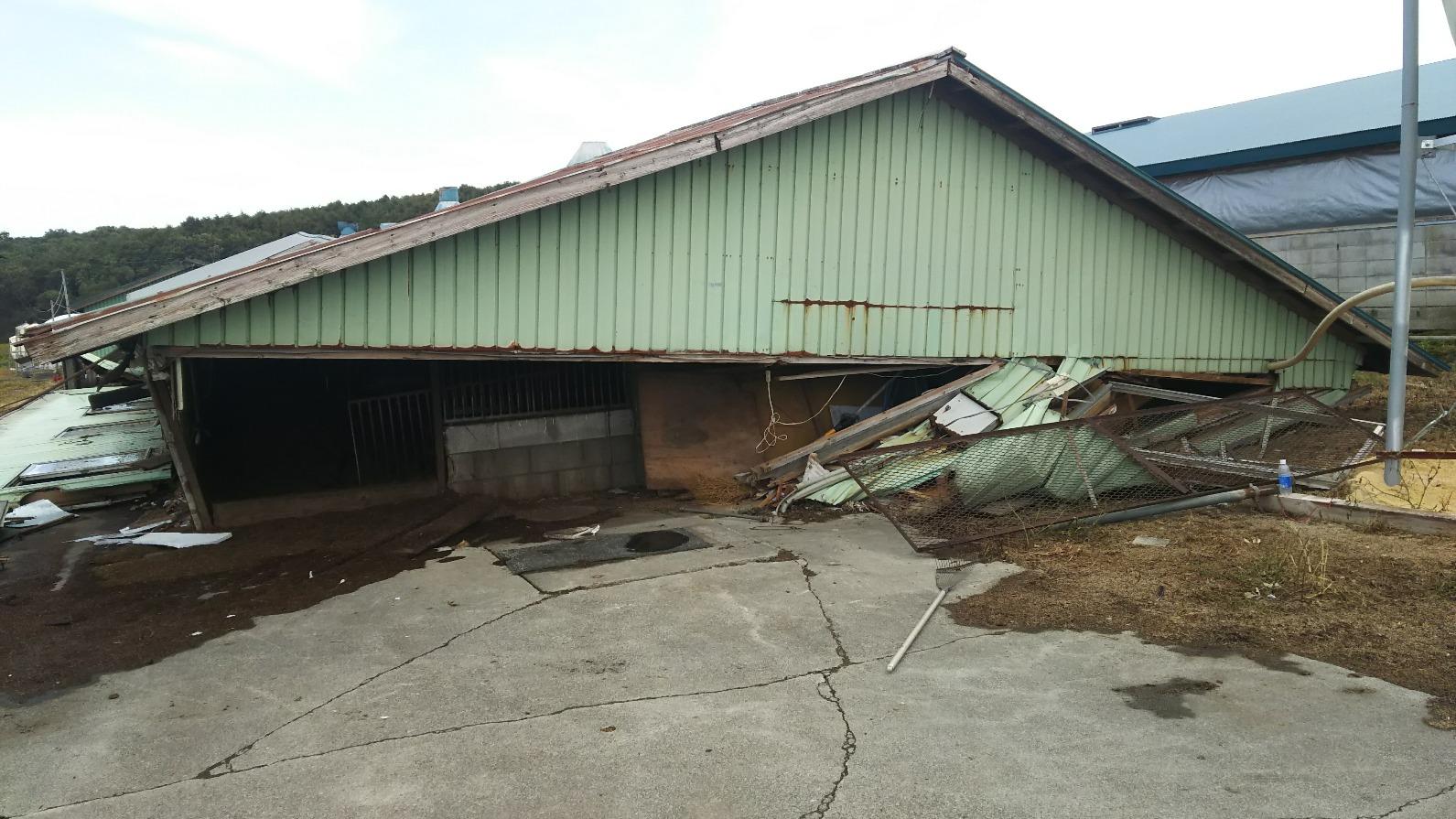地震で全壊した希望農場の豚舎