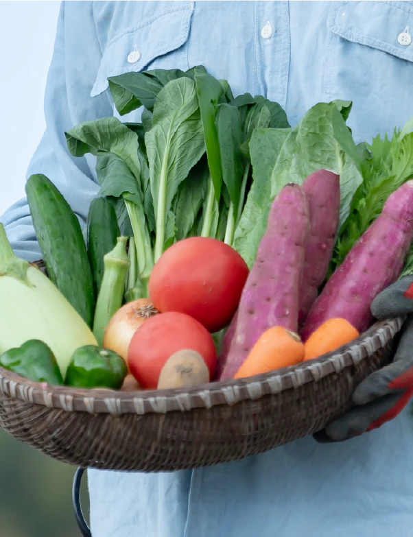 産直青果ボックス