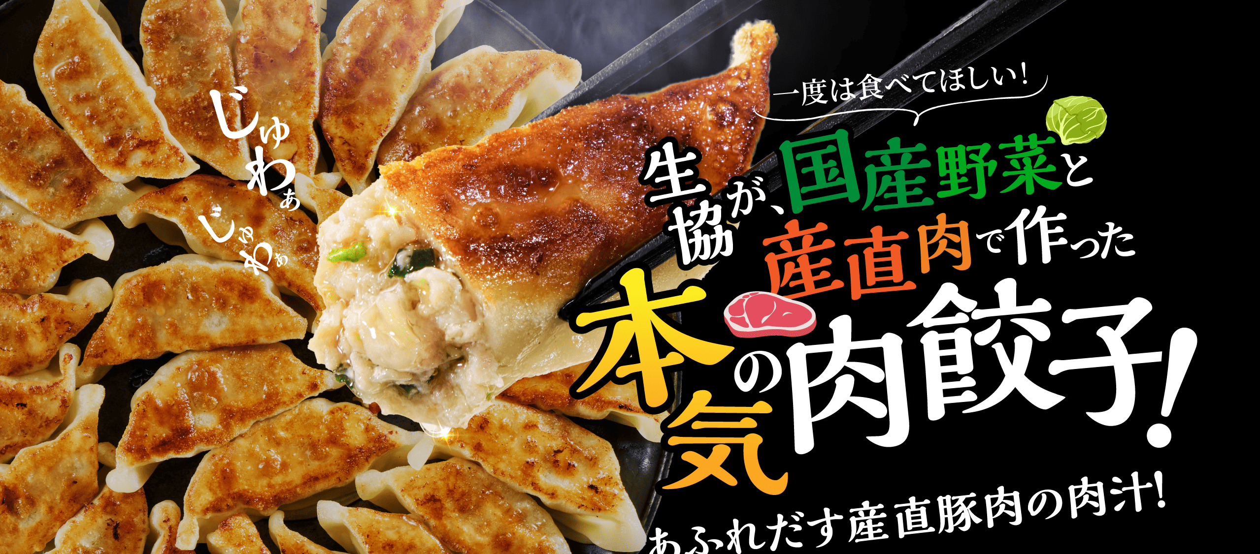 一度は食べてほしい！生協が、国産野菜と産直肉で作った本気の肉餃子！あふれだす産直豚肉の肉汁！