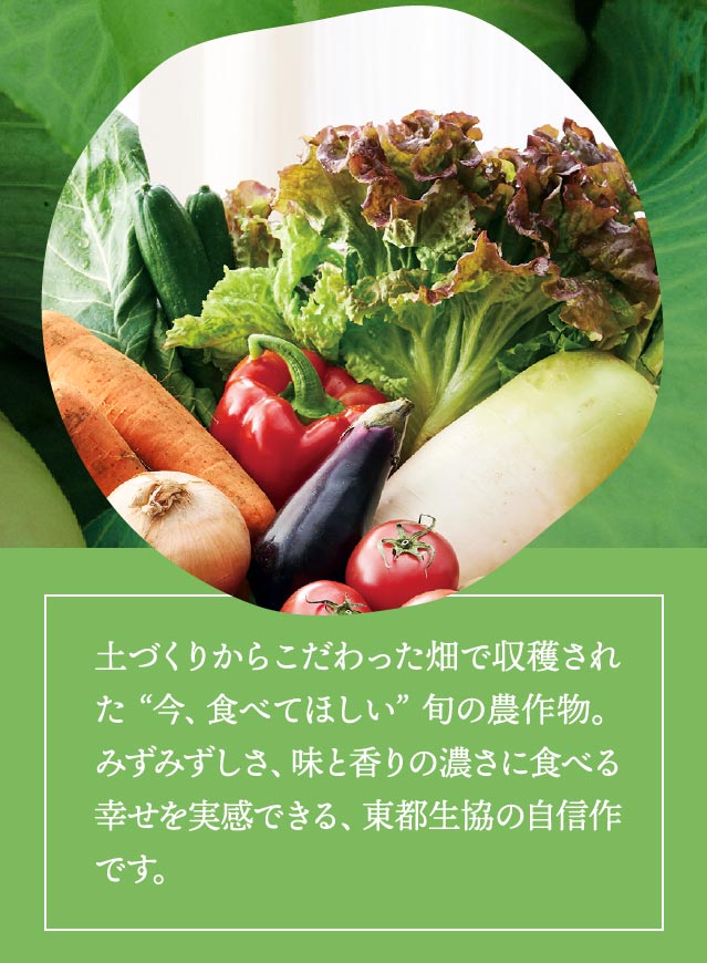 土づくりからこだわった畑で収穫された “今、食べてほしい” 旬の農作物。みずみずしさ、味と香りの濃さに食べる幸せを実感できる、東都生協の自信作です。