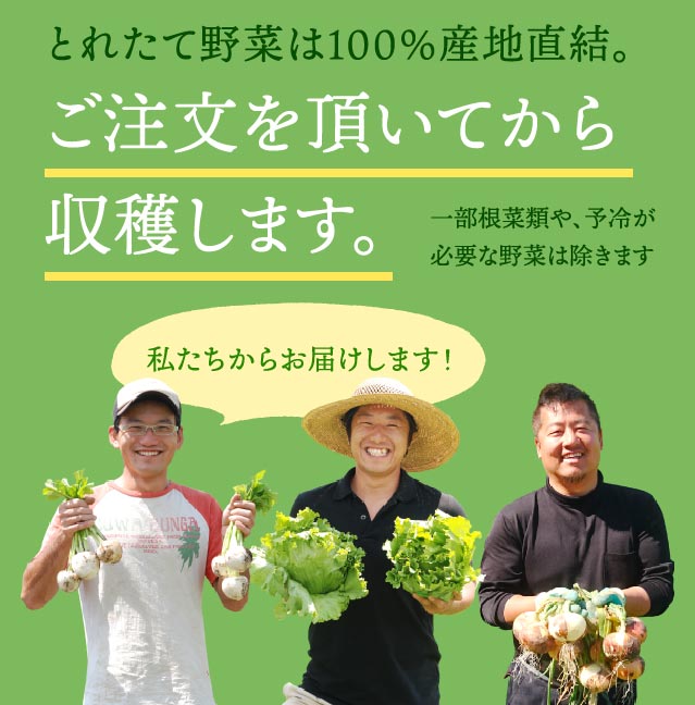 とれたて野菜は100%産地直結。ご注文を頂いてから収穫します。一部根菜類や予冷が必要な野菜は除きます