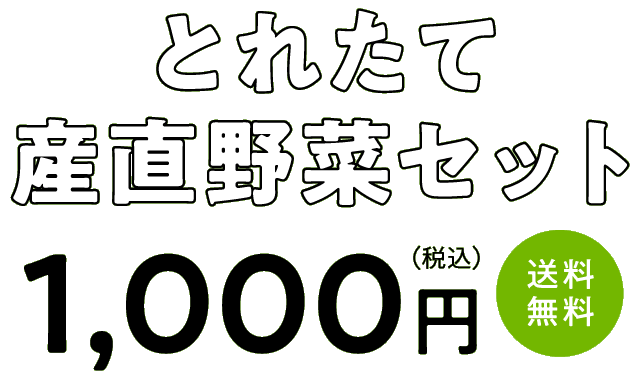 とれたて産直野菜セット 1000円(税込み・送料無料)