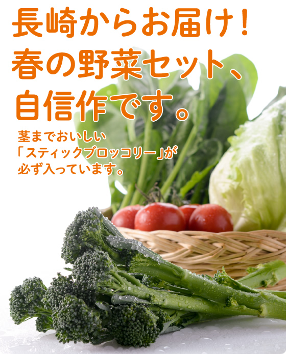 スティックブロッコリー 長崎からお届け！春の野菜セット、自信作です。