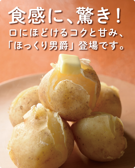 食感に、驚き!口にほどけるコクと甘み、「ほっくり男爵」登場です。