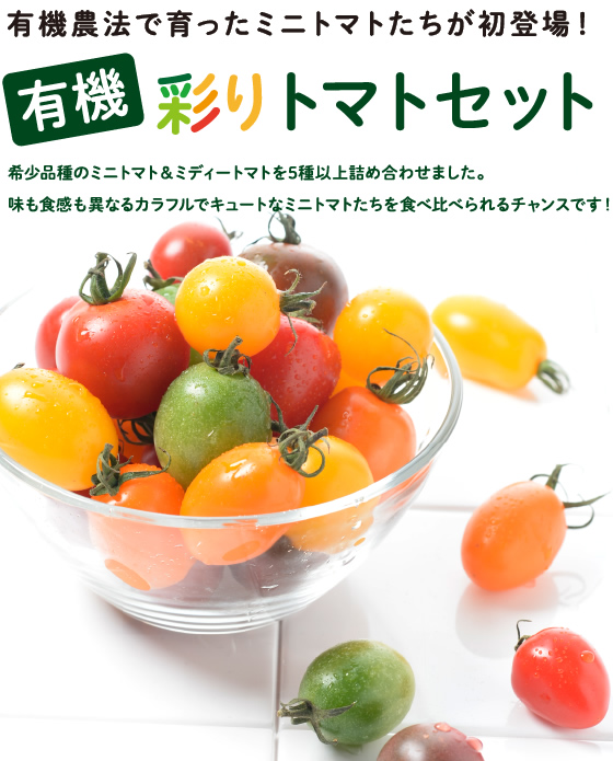 有機農法で育ったミニトマトたちが初登場！有機彩りトマトセット