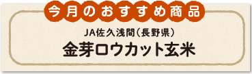 今月のおすすめ野菜