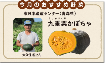 今月のおすすめ野菜