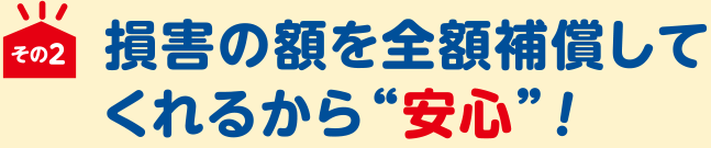 損害の額を全額補償してくれるから“安心”！