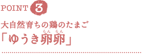 ＰＯＩＮＴ３　大自然育ちの鶏のたまご「ゆうき卵卵（らんらん）」