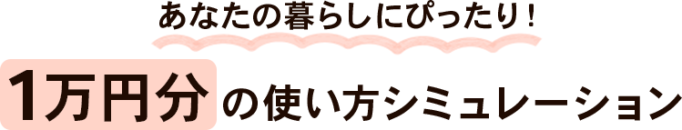1万円の使い方シュミレーション