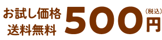 お試し価格・送料無料　500円（税込）