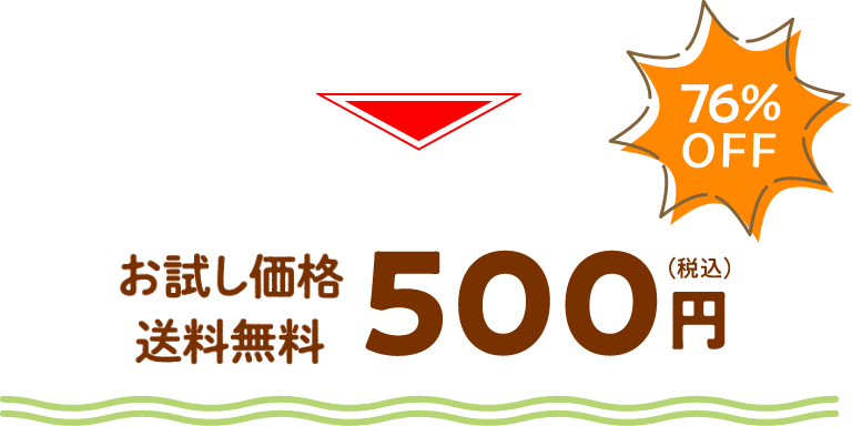 お試し価格 送料無料 500円（税込） 76%OFF