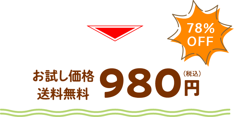 お試し価格 送料無料 980円（税込） 78%OFF