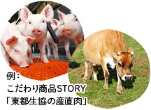 例：こだわり商品STORY「東都生協の産直肉」